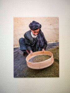 Afghan man sieving dry cannabis, fine art print on aluminium dibond